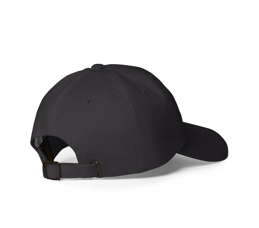 Anti Pickleball Tennis Club Dad hat